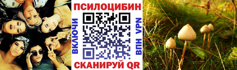 Псилоцибиновые грибы Psilocybine cubensis  Купить где  Всеволожск 